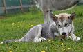 Onni 5-2010 007